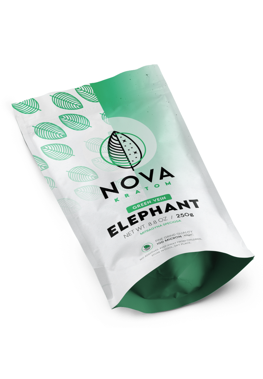green-elephant-front