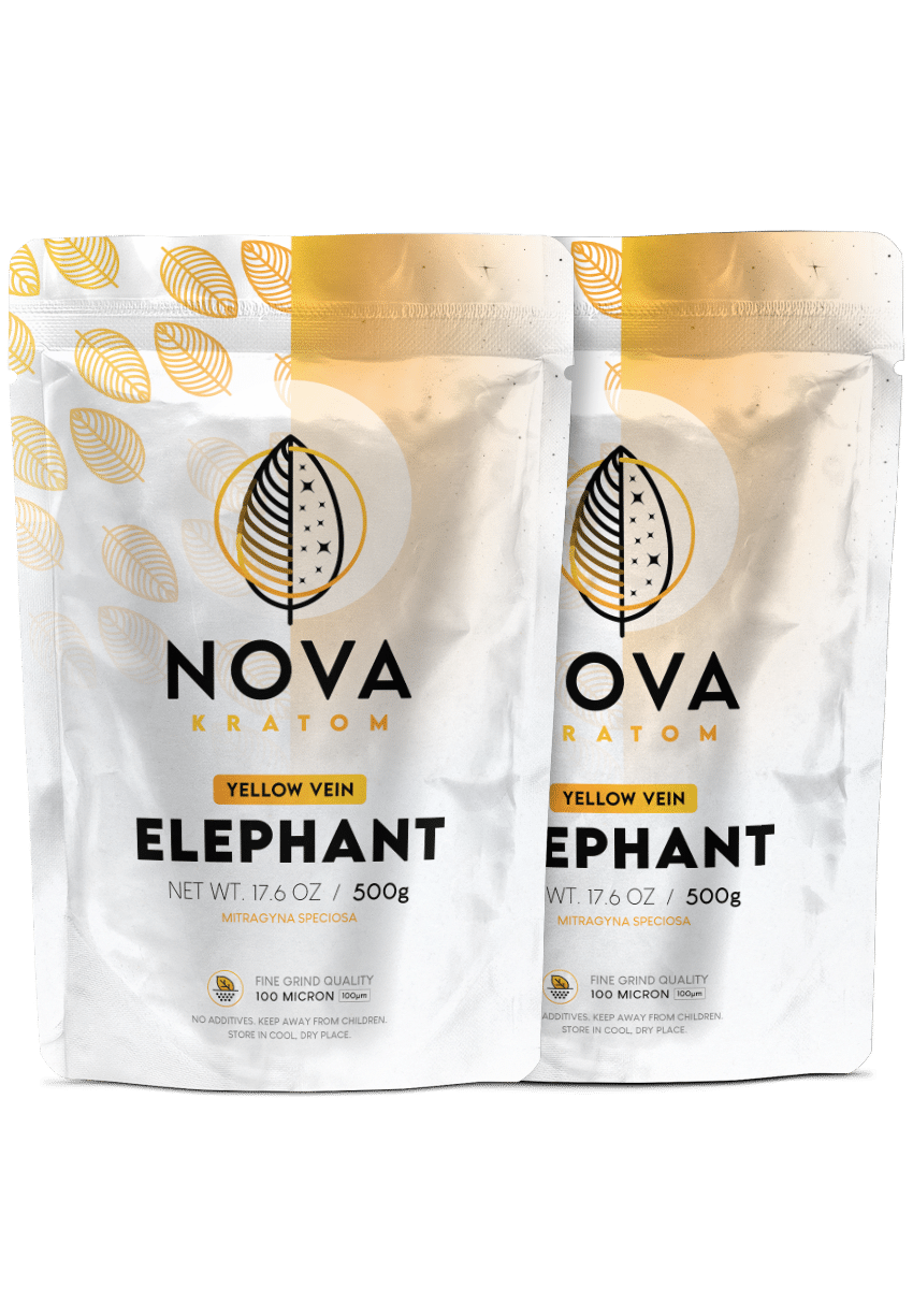 yellow-elephant-double