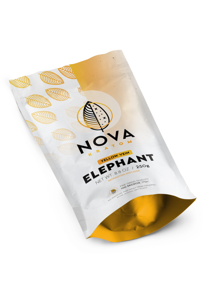 yellow-elephant-front